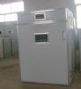 egg incubators for sale with best price